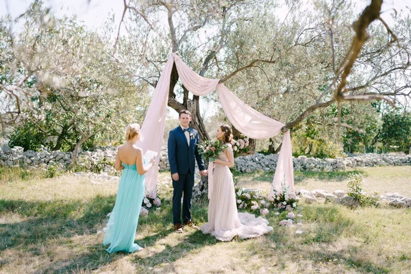Vőlegény áll menyasszony mellett egy fa egy zöld ligetben előtt az esküvői ceremónia mester — Stock Fotó
