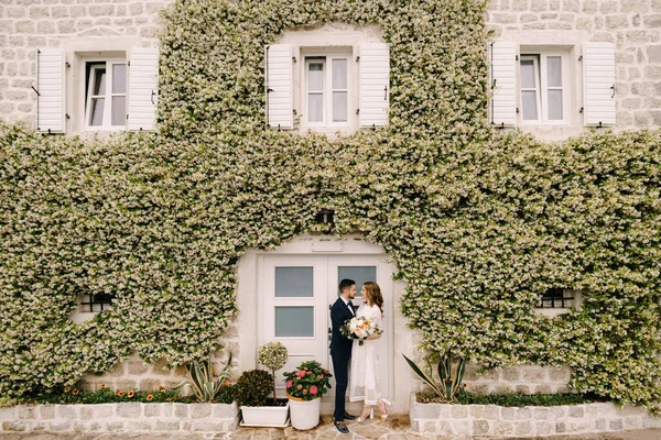 Γαμπρός και νύφη στέκονται κοντά στο κτίριο που καλύπτεται με κισσό — Φωτογραφία Αρχείου