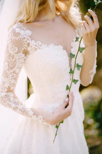 Braut in einem weißen Kleid mit einem Efeuzweig in ihren Händen — Stockfoto