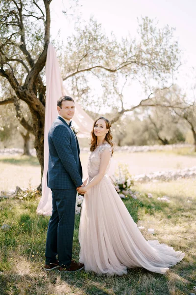 Mariée tient la main du marié tout en se tenant sous l'arbre décoré de tulle — Photo