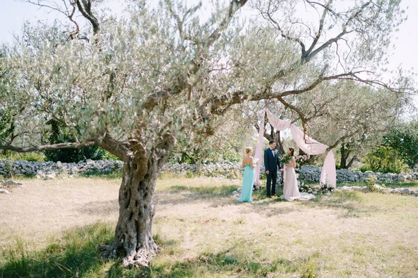 新婚者は公園の儀式のマスターの前の木の下に立つ — ストック写真