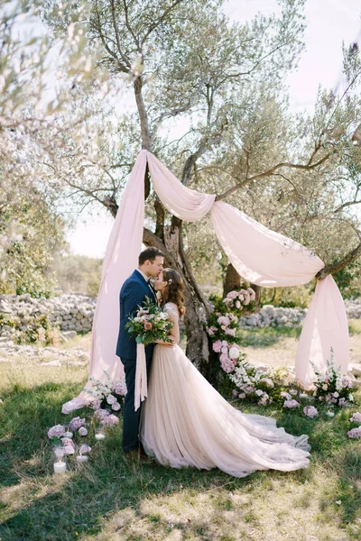 Bräutigam küsst Braut unter Baum im grünen Park auf die Stirn — Stockfoto