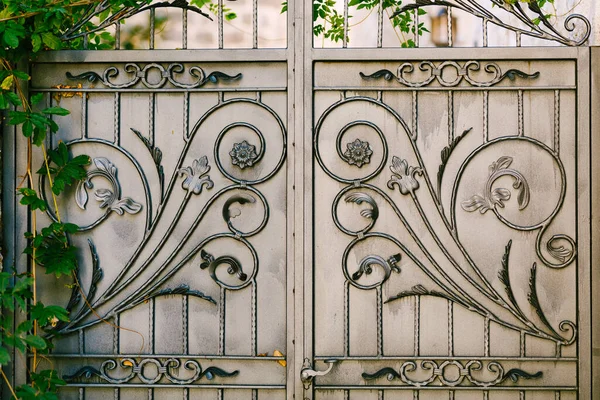 金属製の門にはツタが絡んだ形の花が咲きます。閉鎖 — ストック写真