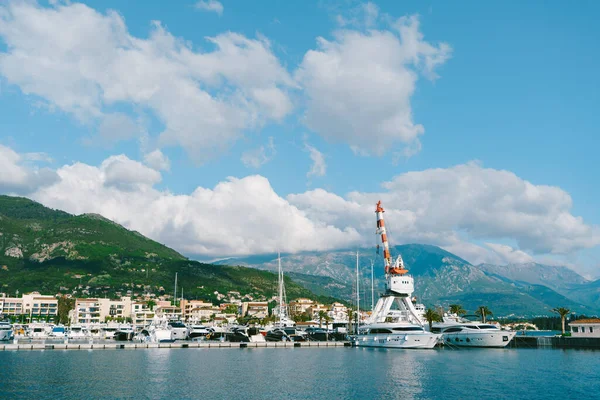 Marina dengan kapal pesiar di pantai resor mahal Porto. Montenegro — Stok Foto
