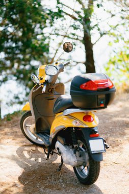 Sarı motorlu scooter parktaki ağaçların yanında duruyor.