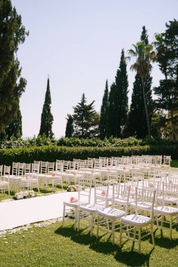 Beyaz düğün sandalyeleri yeşil çimlerin üzerinde duruyor.