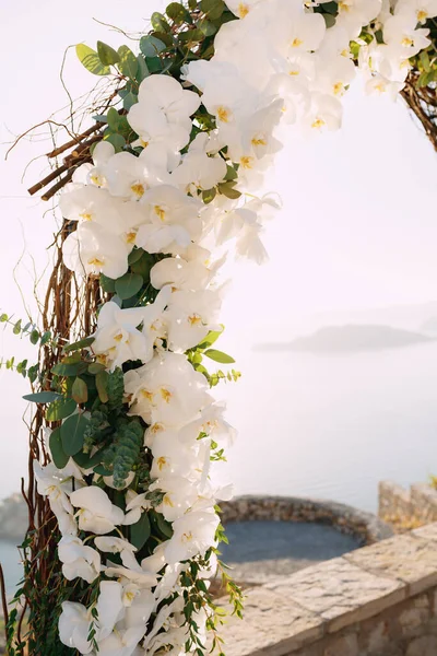 Fragment of a wedding arch decorated with white orchids — Stock Photo, Image