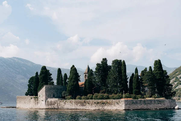 Kotor Körfezi 'ndeki Aziz George adasında asırlık selviler.