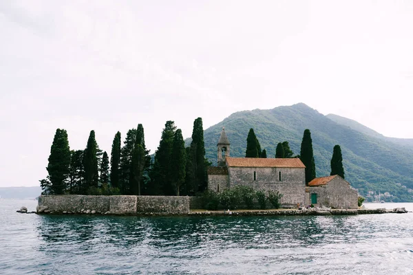 Tall century-old cypresses around the monastery on the island of St. George. Montenegro — Stockfoto