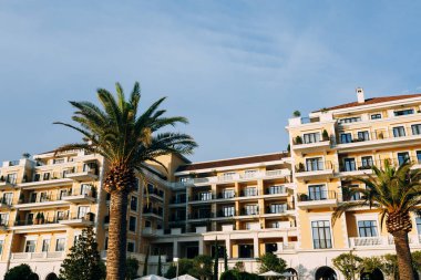 Porto 'daki Regent Otel' in önündeki yeşil palmiye ağaçları. Karadağ