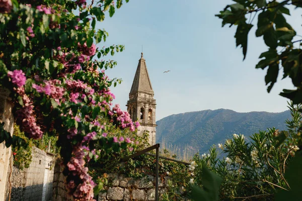Колокольня церкви Святого Николая на фоне гор. Пераст, Монтенегро — стоковое фото