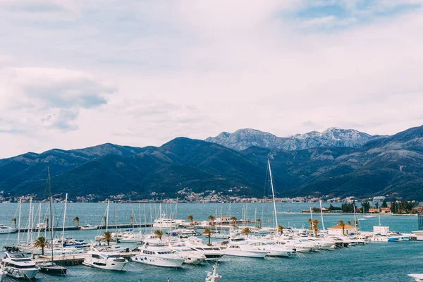 Sailing and motor yachts are moored at the pier in Porto. Montenegro — 图库照片