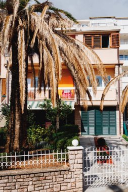 Üç katlı bir binanın önündeki palmiye ağacında kahverengi yapraklar.