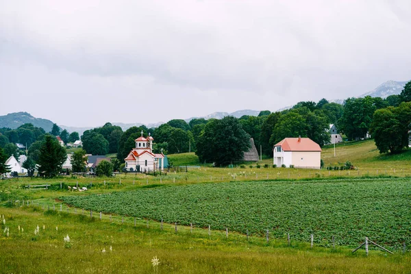 Huizen en een kerk in een vallei in het noorden van Montenegro — Stockfoto