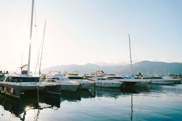 Yachts are moored to the pier against the backdrop of mountains in Porto Montenegro — Fotografia de Stock