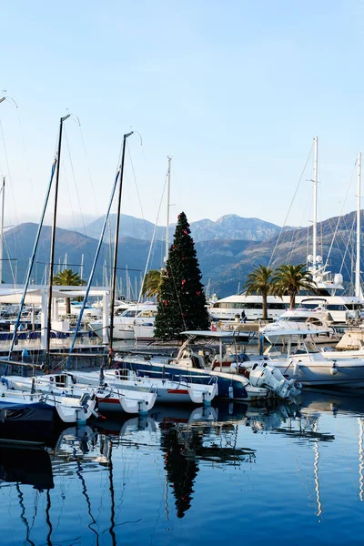 Decorated Christmas tree stands on the pier, surrounded by palm trees and moored yachts — Foto Stock