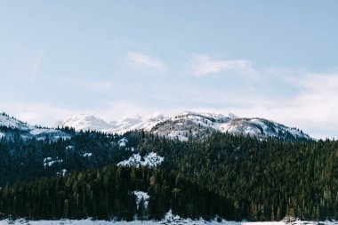 Yeşil kozalaklı bir orman ve karla kaplı dağların arkasında kara göl. Karadağ