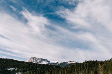 Kara Göl Durmitor Ulusal Parkı 'nda kozalaklı ormanlarla çevrili. Karadağ