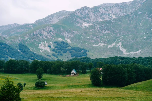 モンテネグロ北部の高地にある家は木に囲まれている。 — ストック写真