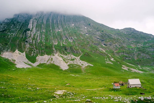 Dům na úpatí zelené hory na severu Černé Hory — Stock fotografie