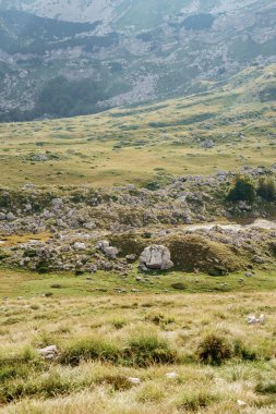 Durmitor Ulusal Parkı 'ndaki Sedlo Geçidi' nde yeşil bir vadide kayalar var.