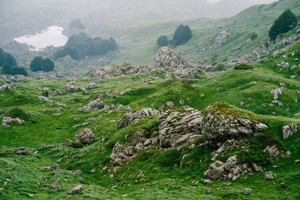 Kameny trčící zpod zelené trávy v národním parku Durmitor — Stock fotografie