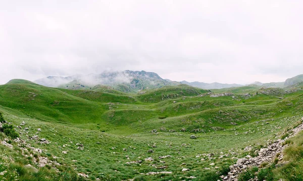 Národní park Durmitor v husté mlze nad zelenými trávníky — Stock fotografie