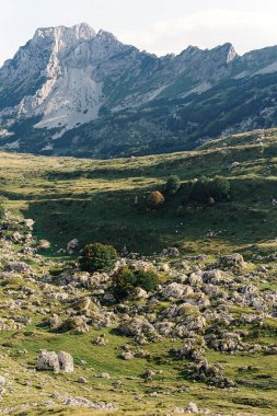Dağların eteğindeki yeşil çimenlikte taşlar