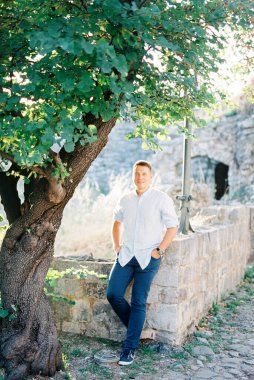 Adam bir ağacın yanında taş bir çite yaslanıyor.