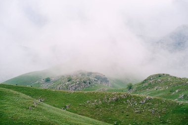 Durmitor Milli Parkı 'ndaki dağları sis kaplıyor
