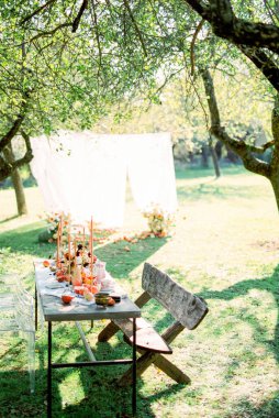 Meyve ve fincanlarla dolu bir masa bahçedeki bir bankın yanında duruyordu.