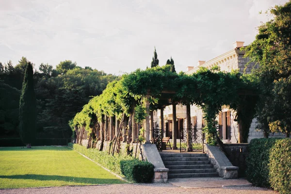 Gradini in pietra davanti alla verde terrazza di Villa Milocer. Montenegro — Foto Stock