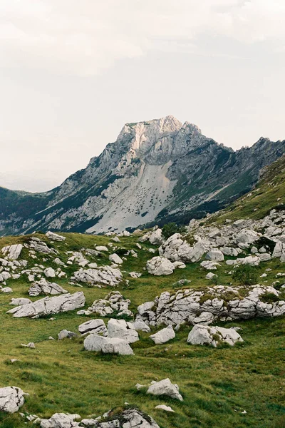 Сірі валуни лежать в зеленій гірській долині — стокове фото
