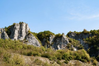 Durmitor Milli Parkı 'nda yeşil çalılar ve çimlerle kaplı Rocky dağları.