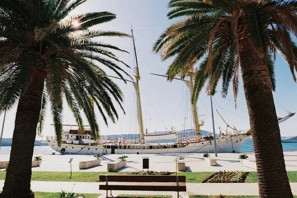 Green palm trees on a pier with a white moored sailboat in the background. Tivat, Montenegro — Stock Photo, Image