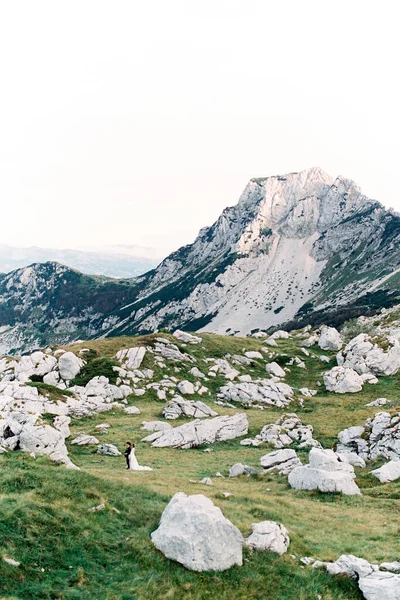 Наречений і наречений стоять серед величезних сірих валунів у гірській долині. Безпілотник — стокове фото