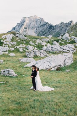 Gelin ve damat büyük gri kayaların arasında duruyor.