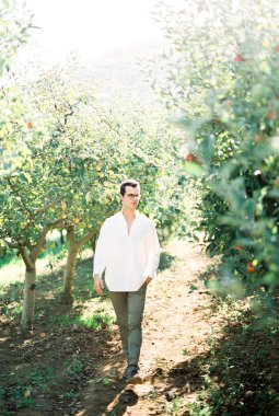 Beyaz gömlekli ve gözlüklü bir adam elleri cebinde bir elma bahçesinde yürüyor.