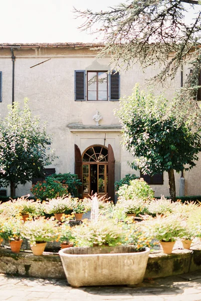 Fountain Decorated Flowerpots Front Old Villa Florence Italy High Quality — ストック写真