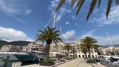 Embankment with green palm trees and expensive hotels. Porto, Montenegro. High quality FullHD footage