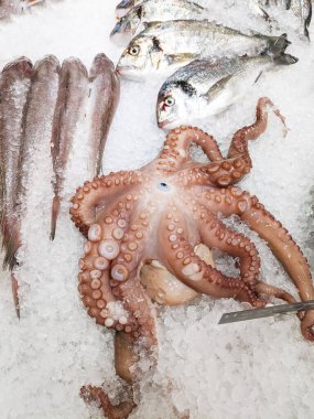 Mürekkep balığı ve balıklar süpermarketteki bir rafta buzun içinde yatıyor. Yüksek kalite fotoğraf
