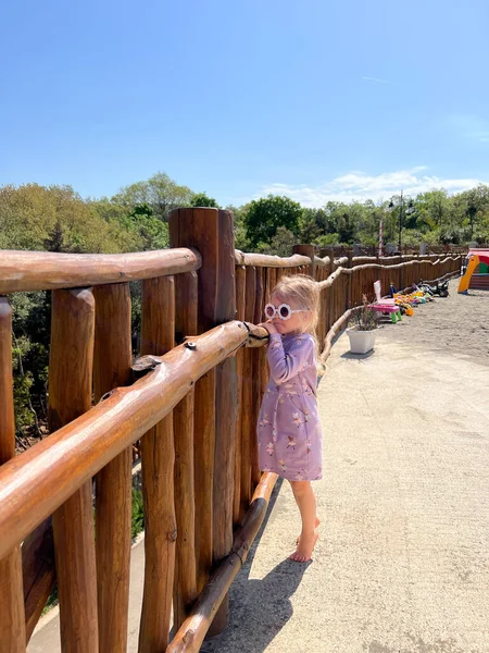 Little Girl Looks Boards Wooden Fence Park High Quality Photo — Stok Foto