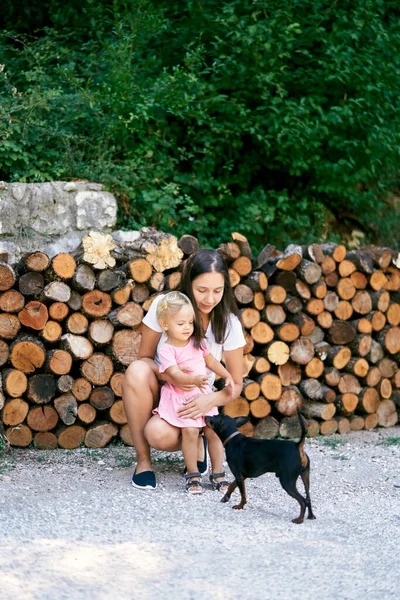 Mom with a little girl petting a dog near stacked firewood. High quality photo