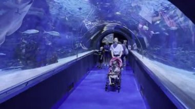 Annem bebek arabasında küçük bir kızla akvaryumdaki balığa bakıyor. Yüksek kalite 4k görüntü