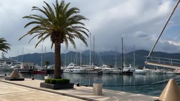 Sailing Yachts Pier Porto Montenegro High Quality Fullhd Footage — Stockvideo