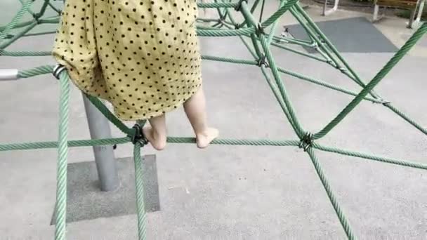 Little Girl Climbing Maze Playground High Quality Footage — стоковое видео