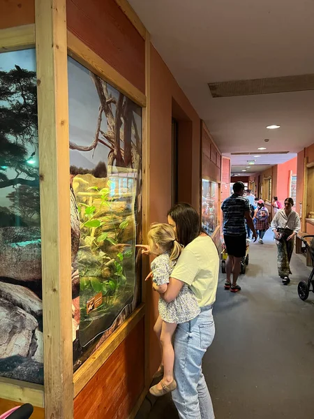 Mom Shows Little Girl Terrarium Snakes High Quality Photo — Stok Foto