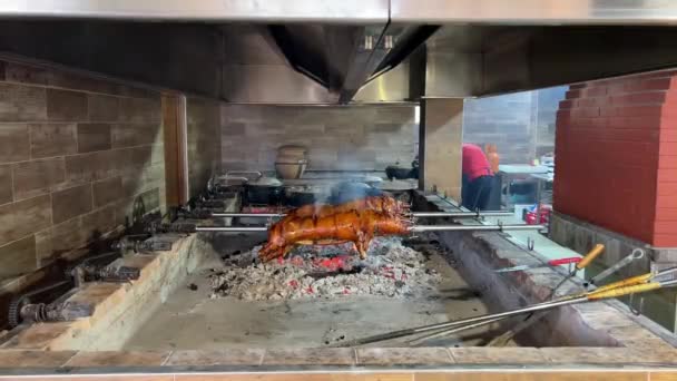 Whole Piglets Roasting Skewers Large Grill High Quality Fullhd Footage — Stock Video