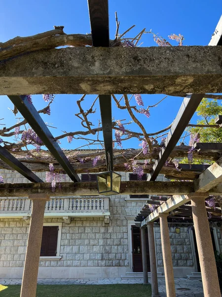 Wooden open gazebo near the villa, entwined with wisteria. High quality photo