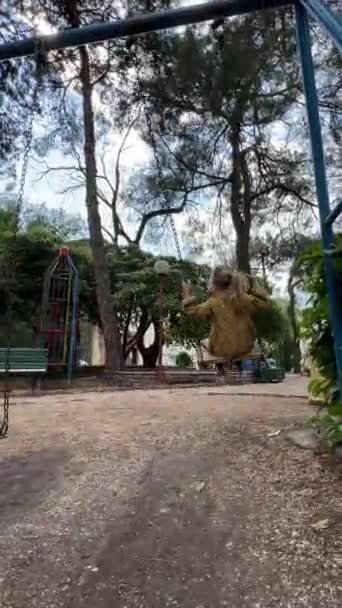 Little Girl Swings Swing Back View High Quality Fullhd Footage — Stockvideo